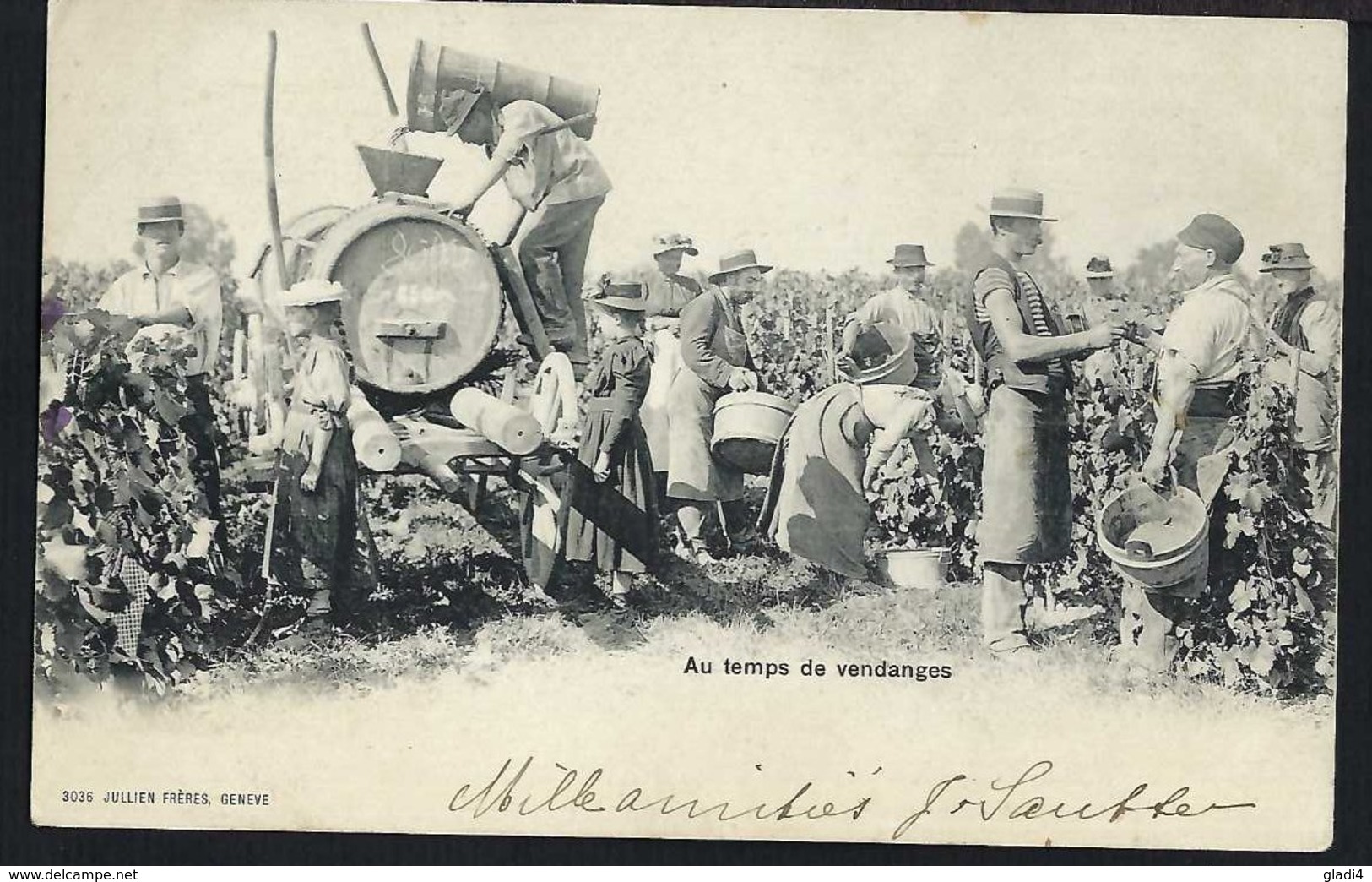 Au Temps De Vendanges - Weinlese - Belebt – Animée - 1901 - Autres & Non Classés