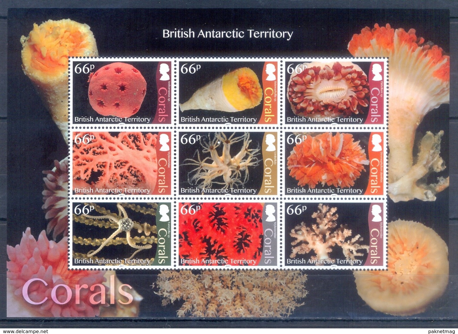 G39- BRITISH ANTARCTIC TERRITORY 2017. MARINE LIFE. CORALS. - Unused Stamps