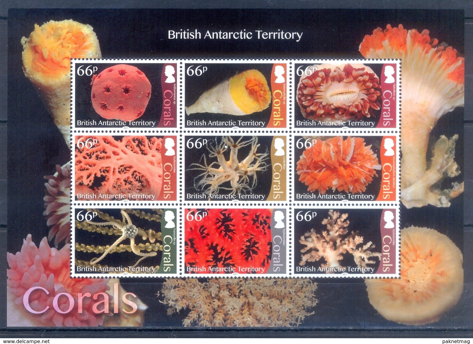 G39- BRITISH ANTARCTIC TERRITORY 2017. MARINE LIFE. CORALS. - Nuovi