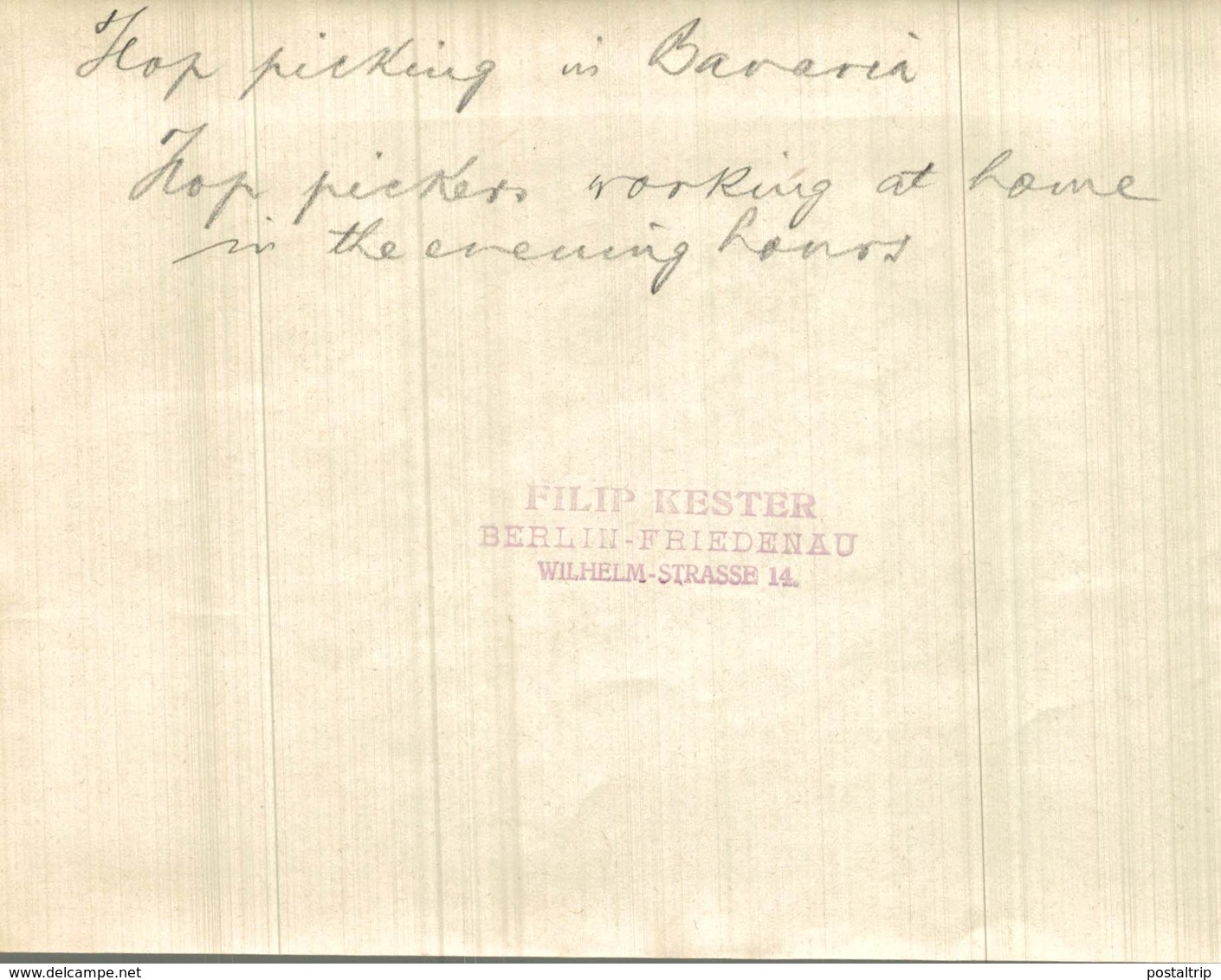 HOP PICKING  BAVARIA GERMANY DEUTSCHLAND Hallertau Holledau HOPFEN +- 18* 13CM Fonds Victor FORBIN (1864-1947) - Profesiones