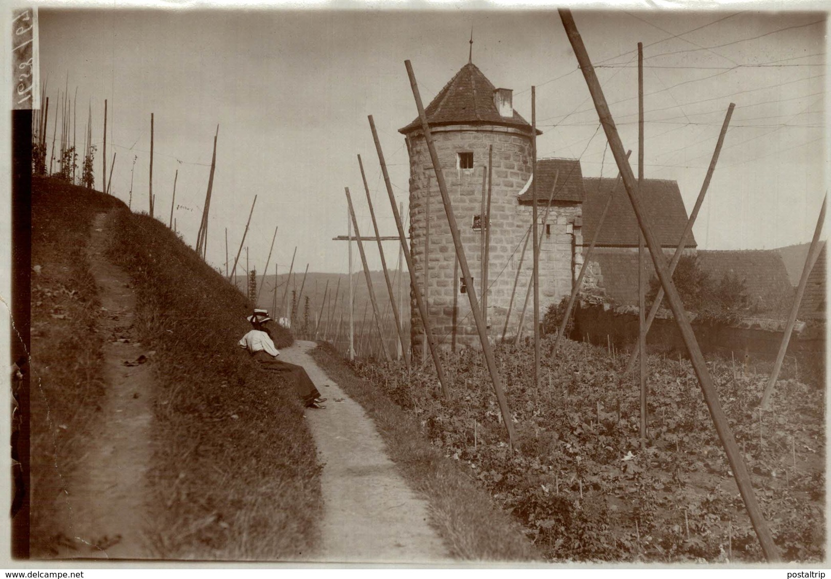 SPALT DEUTCHLAND NUREMBERG  HOP PICKING BAVARIA ROTH  HOPFEN +- 18* 13CM Fonds Victor FORBIN (1864-1947) - Luoghi