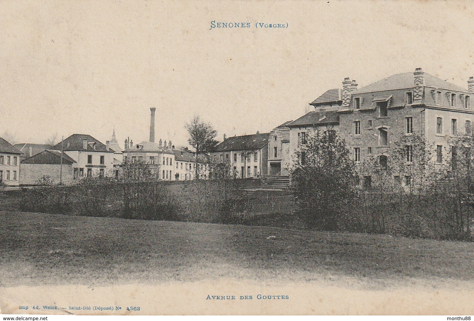 CPA 88 (Vosges) SENONES / AVENUE DES GOUTTES - Senones