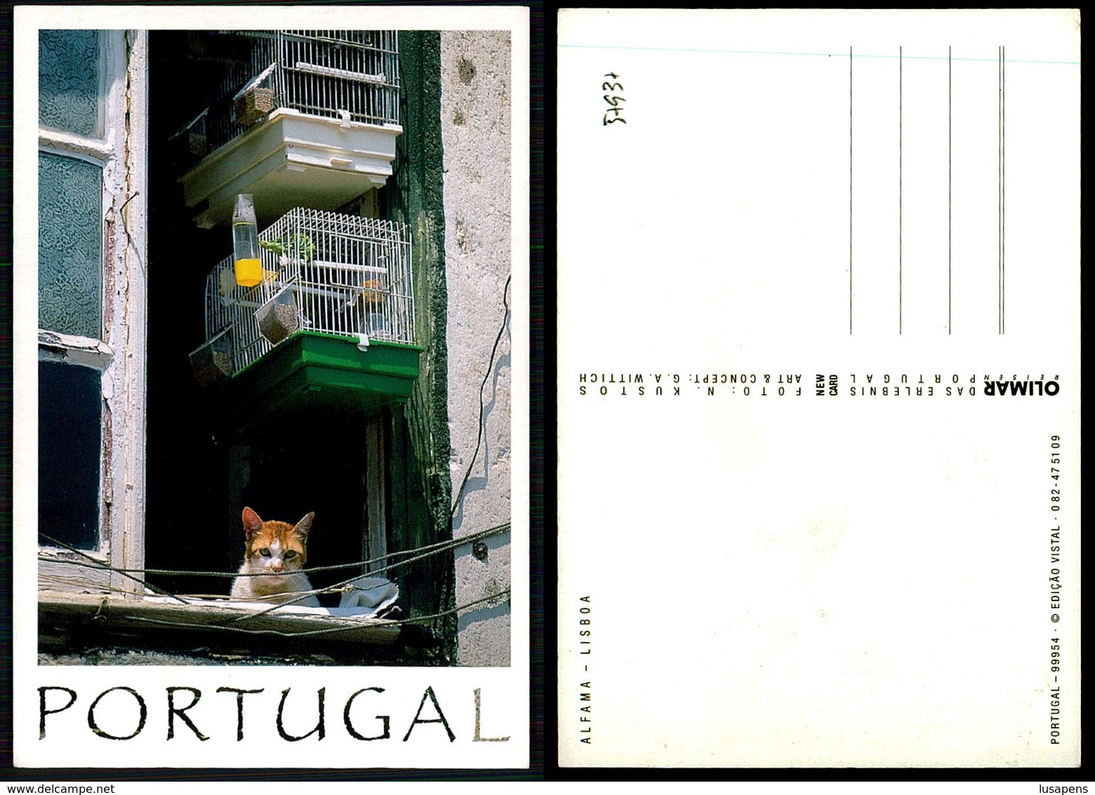 PORTUGAL COR 57937 - LISBOA  - GATO NA JANELA CHAT CAT - ALFAMA - Lisboa