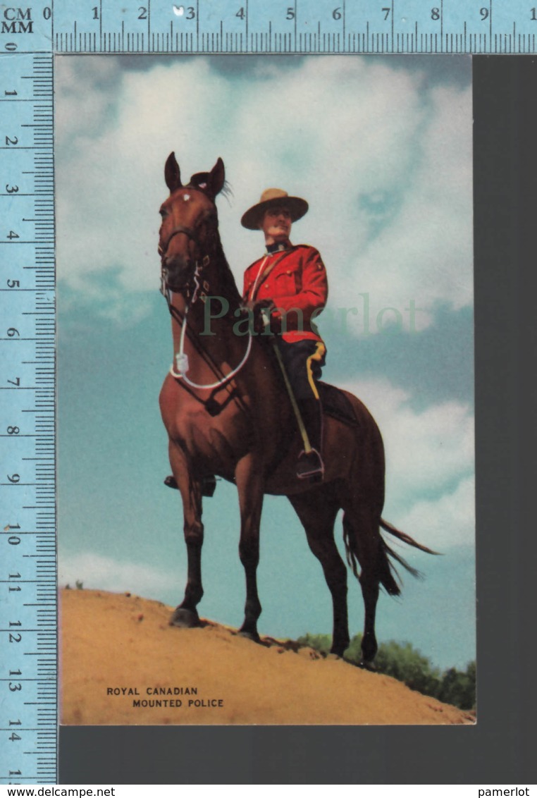 RCMP -uniforme And Horse Cheval, Royal Canadian Mountain Police (Federal) - Autres & Non Classés