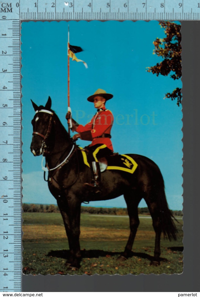 RCMP -uniforme And Horse Cheval, Royal Canadian Mountain Police (Federal) - Autres & Non Classés