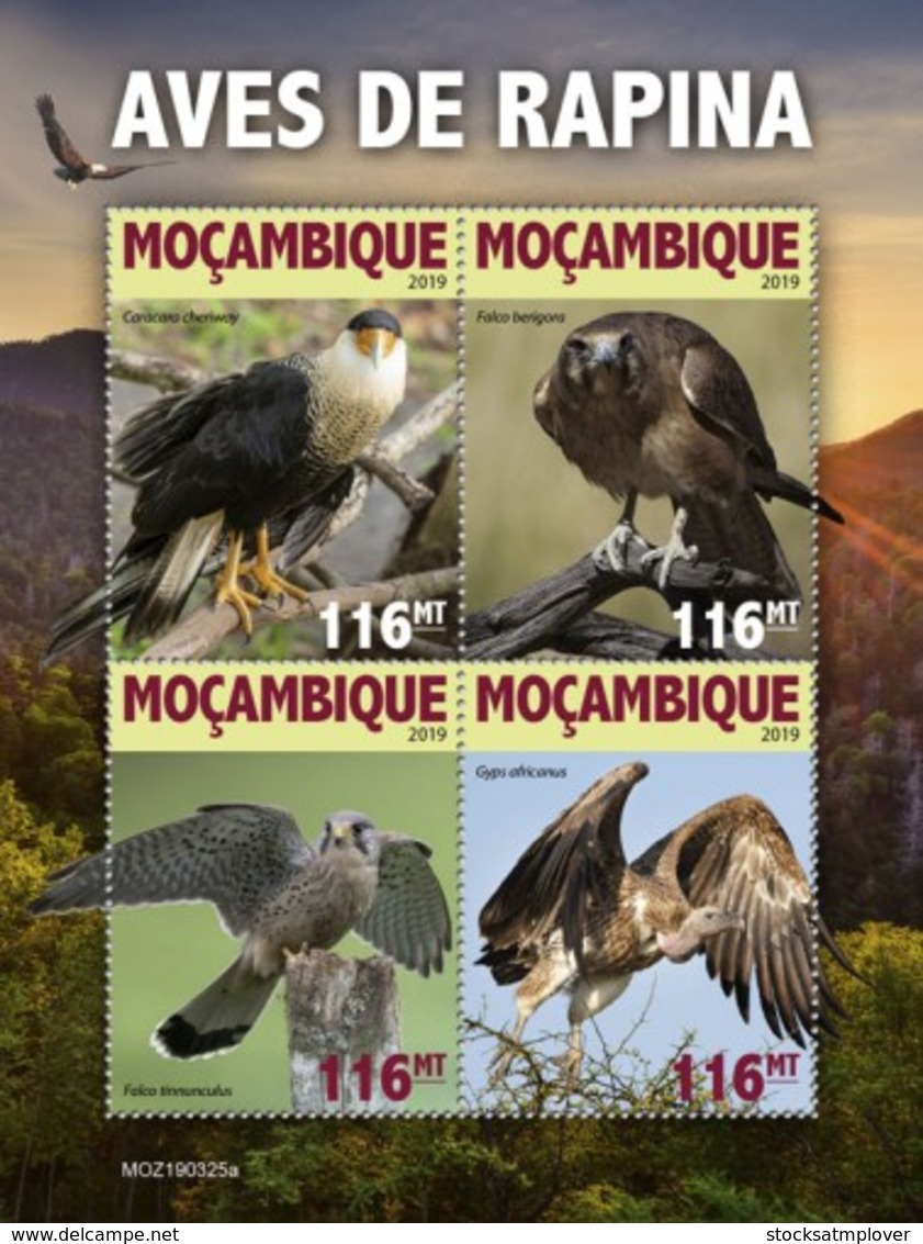 Mozambique 2019    Fauna  Birds Of Prey  S201905 - Mozambique