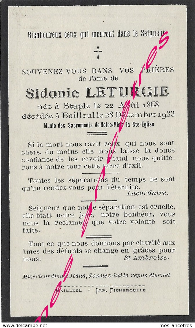 En 1933-Staple Et Bailleul (59) Sidonie LETURGIE Née 1868 - Avvisi Di Necrologio