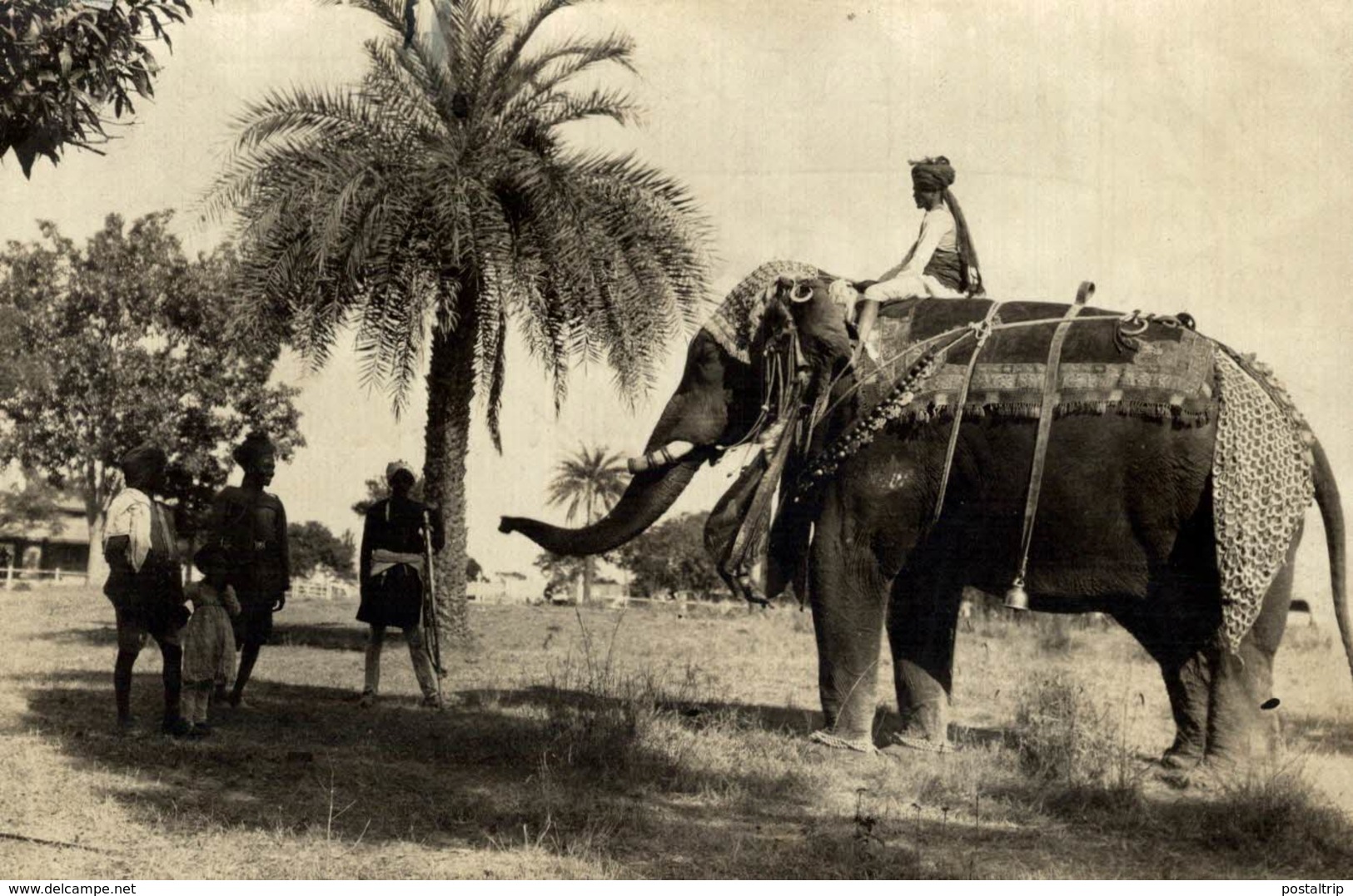 BOMBAY INDIA INDE  VISIT PRINCE OF WALES ELEPHANT ELEFANTES  +- 12* 8 CM Fonds Victor FORBIN (1864-1947) - Profesiones