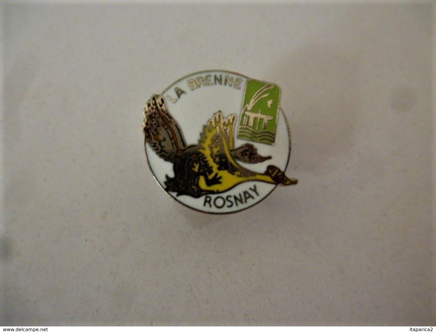 PINS LA BRENNE ROSNEY 36 INDRE / CANARD EN VOL / 33NAT - Villes