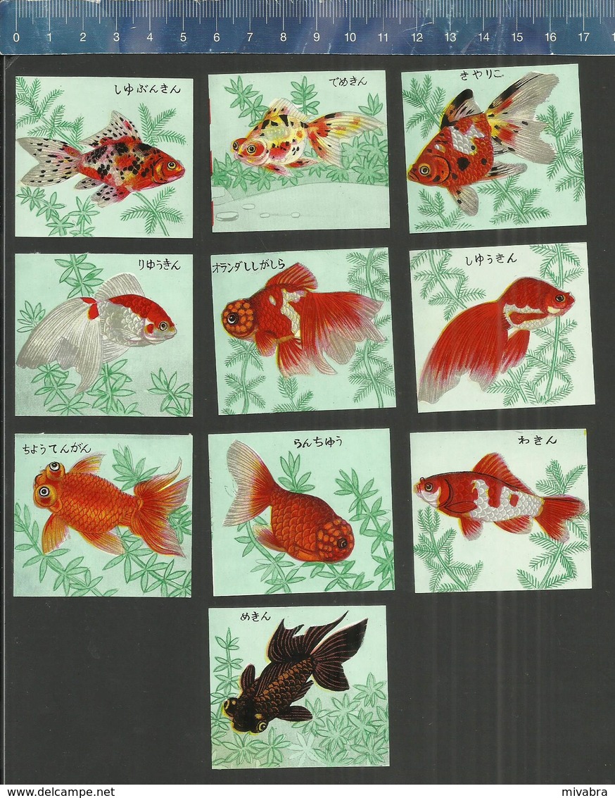 JAPON NIPPON JAPAN MATCHBOX LABELS  GOLDFISH GOUDVISSEN POISSON DORE - Boites D'allumettes - Etiquettes