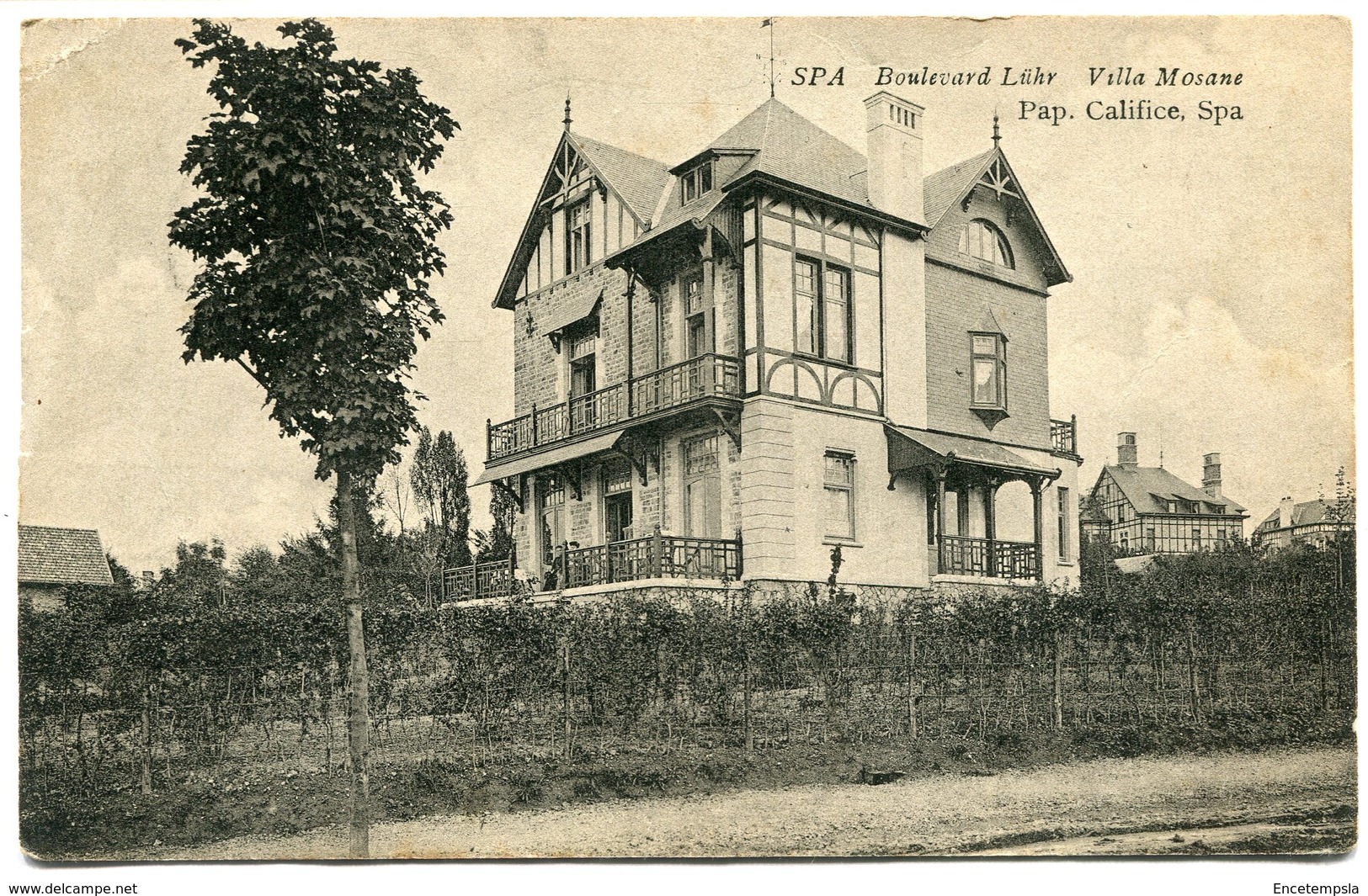 CPA - Carte Postale - Belgique - Spa - Boulevard Lühr - Villa Mosane - 1907 (B9400) - Spa