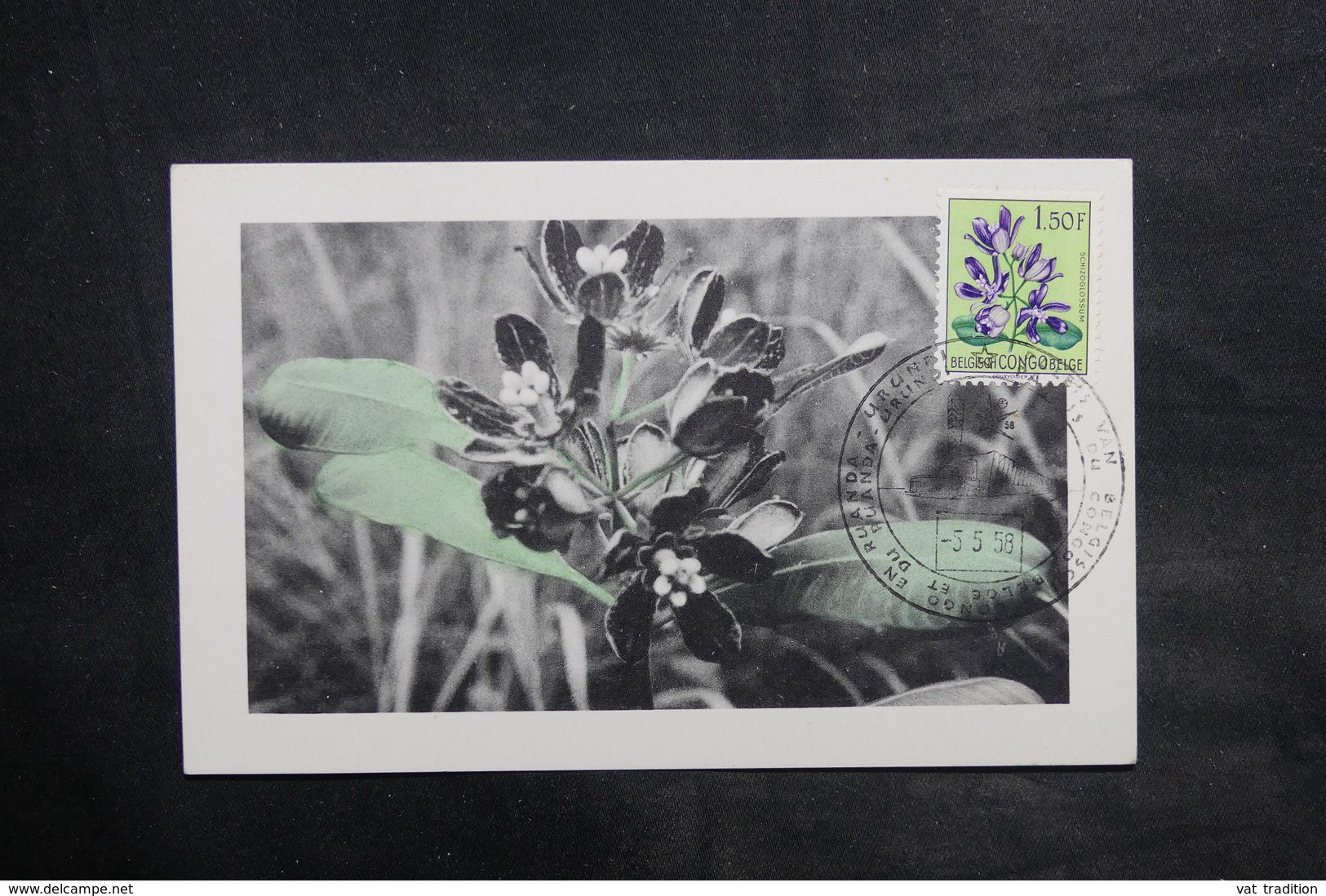 CONGO BELGE - Carte Maximum 1958 - Flore - L 34938 - Covers & Documents