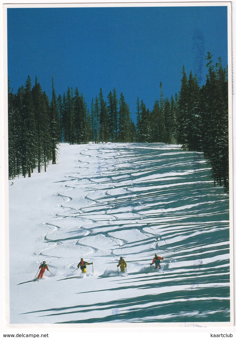 Colorado - Winter - Downhill Skiing - Rocky Mountains