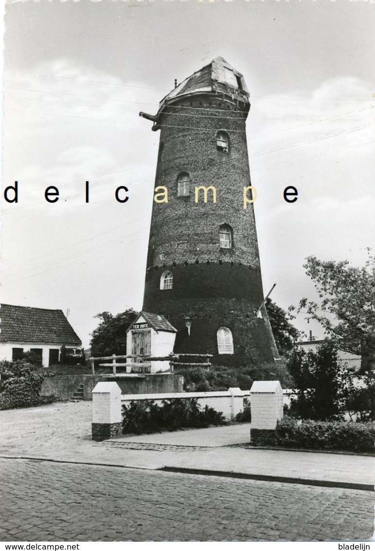 RUDDERVOORDE - Oostkamp (W.Vl.) - Molen/moulin - Historische Opname Van De Verdwenen Termotemolen Met Kap - Oostkamp