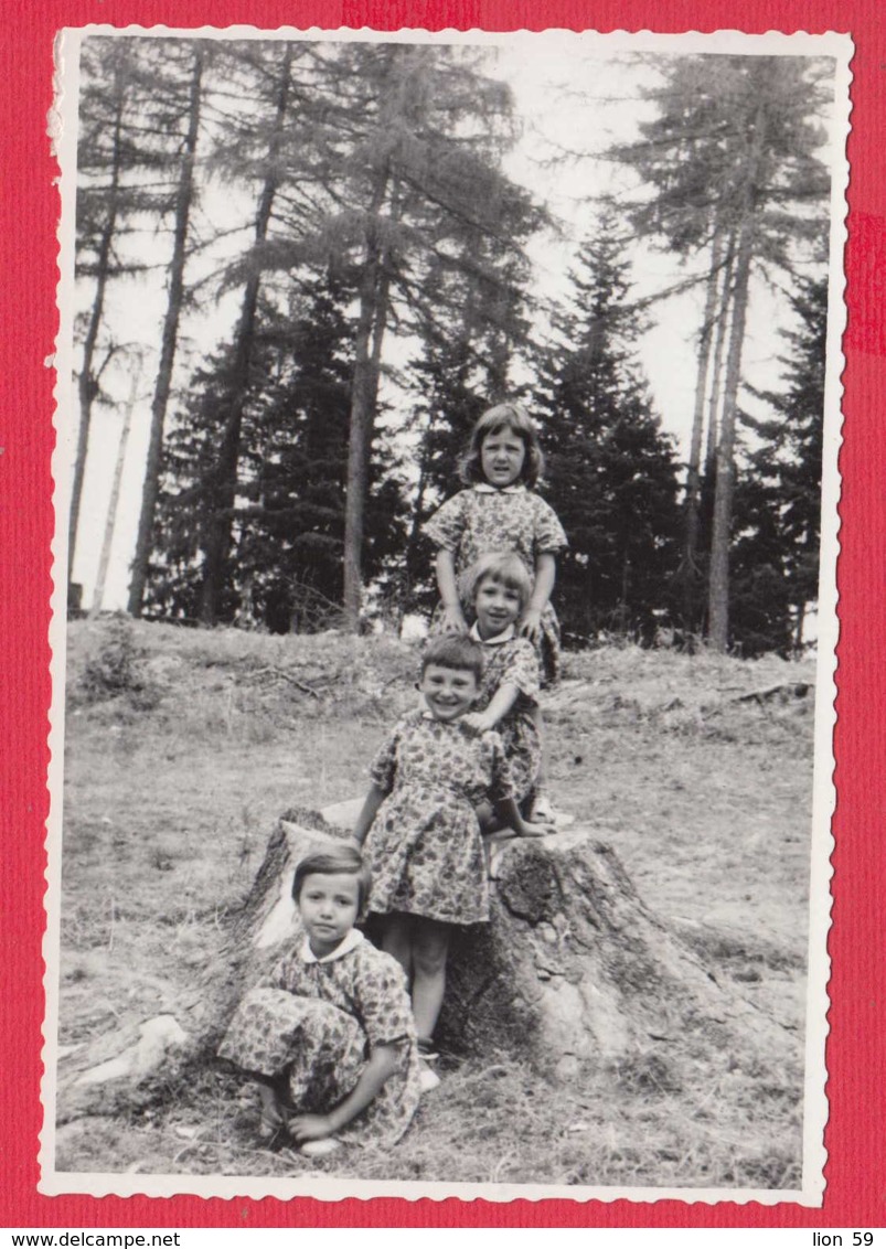 245152A / FOUR LITTLE GIRL FOREST  , Vintage Original Photo , Bulgaria Bulgarie - Personnes Anonymes