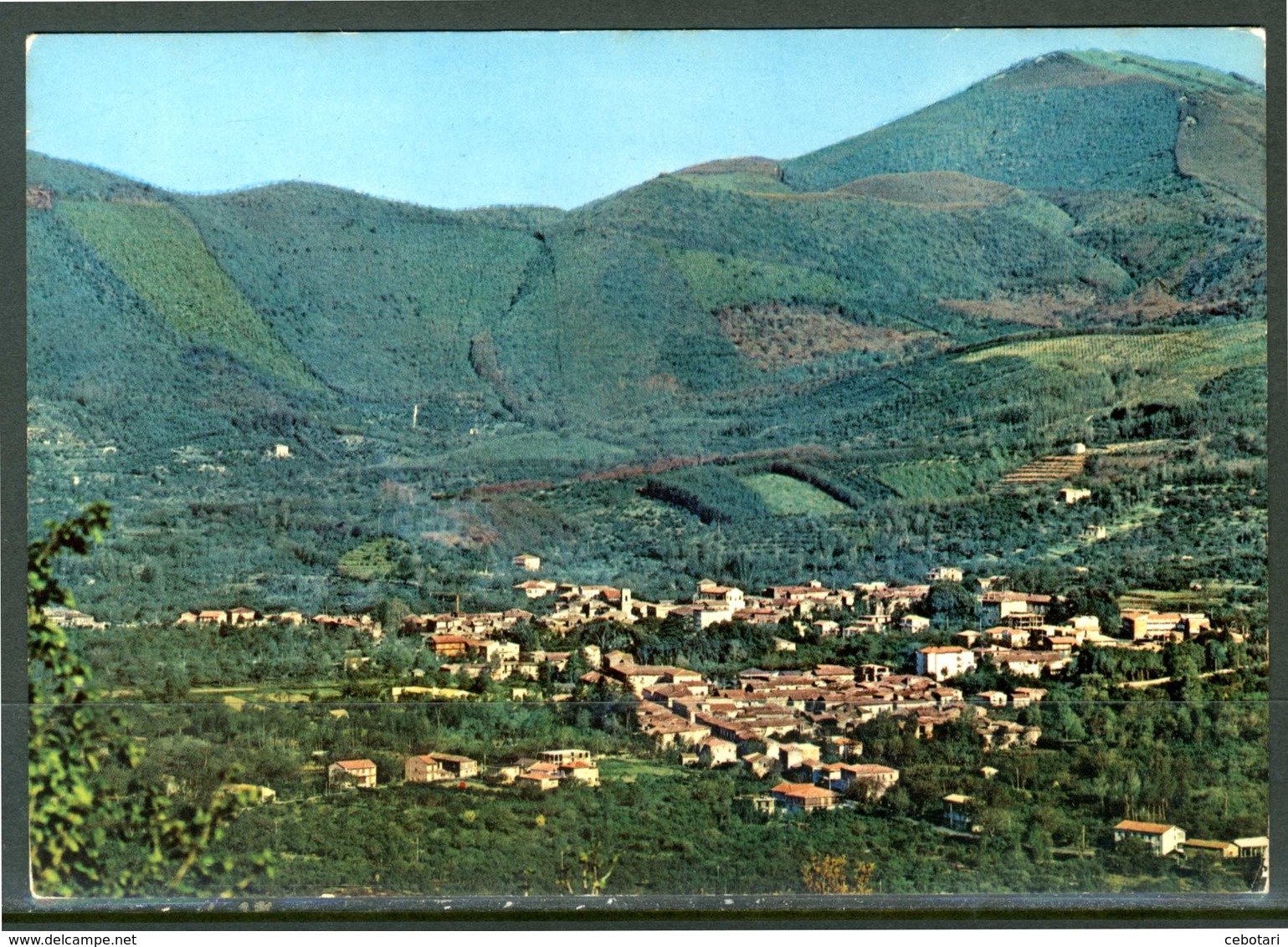 FIORINO (AV) - Panorama - Cartolina Non Viaggiata, Come Da Scansione. - Avellino