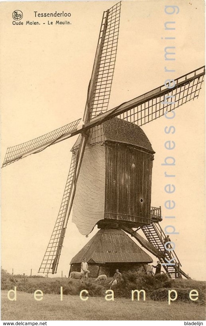 TESSENDERLO (Limburg) - Molen/moulin/mill - De Oude Molen Omstreeks 1930 Met Open Voet. Geanimeerd! - Tessenderlo