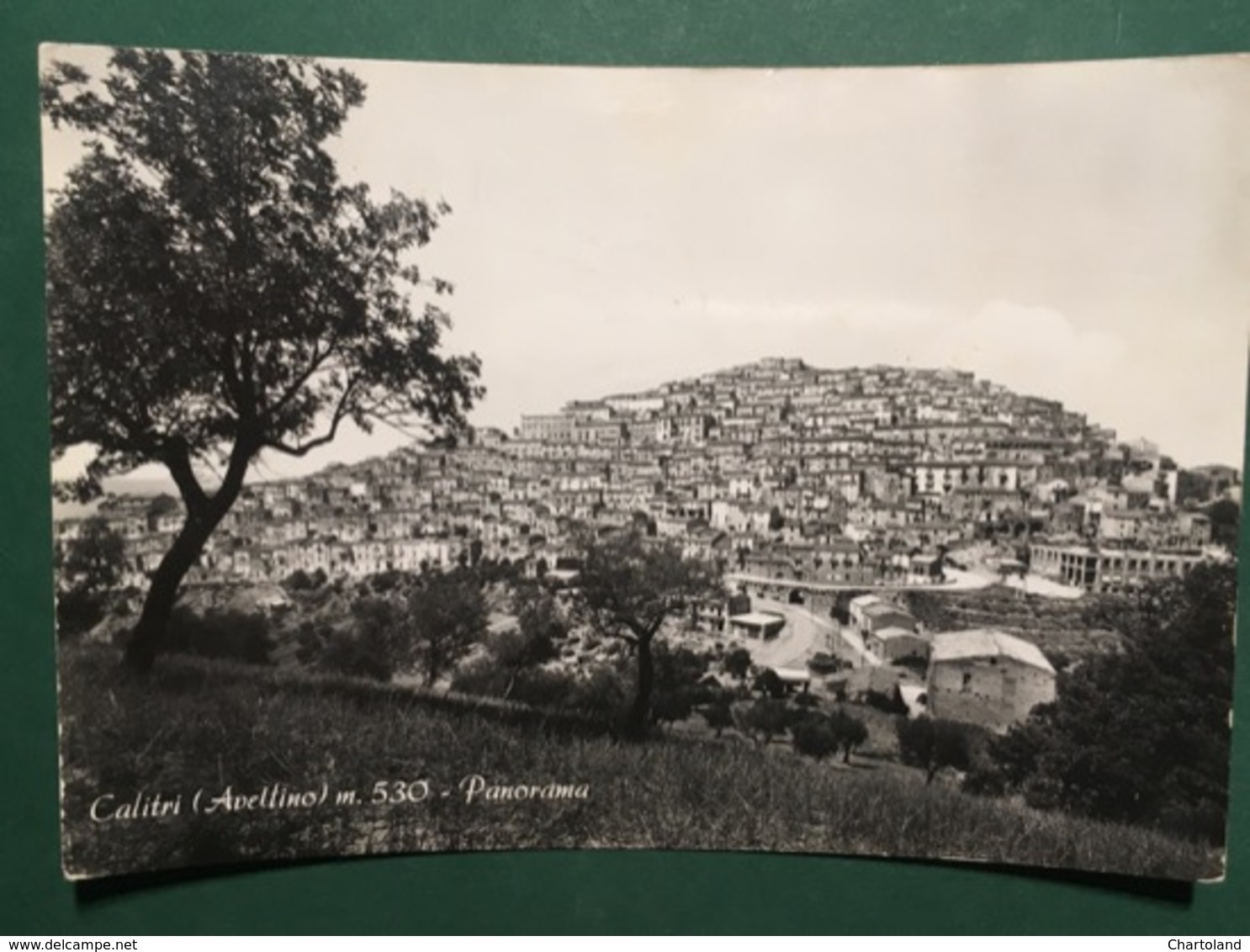 Cartolina Calitri - Avellino - Panorama - 1962 - Avellino