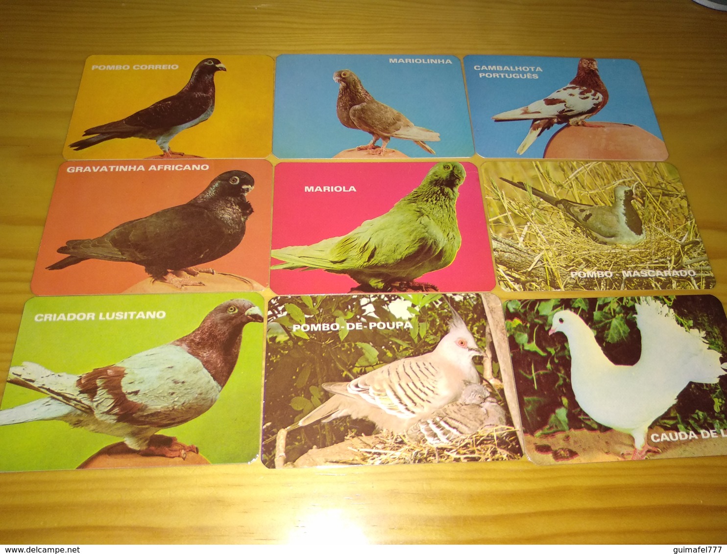 Collection Portuguese Pocket Calendar,Calendário Português "Aves Pombos, Birds" - Petit Format : 1981-90