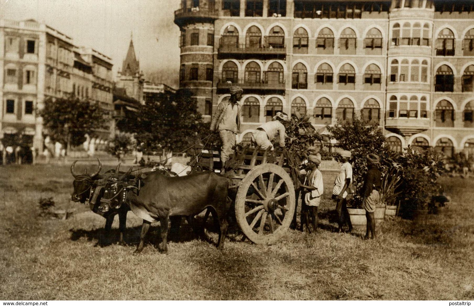 THE PRINCE OF WALES IN INDIA INDE BOMBAY OXCART ETALAGE  +- 15* 11CM Fonds Victor FORBIN (1864-1947) - Lugares