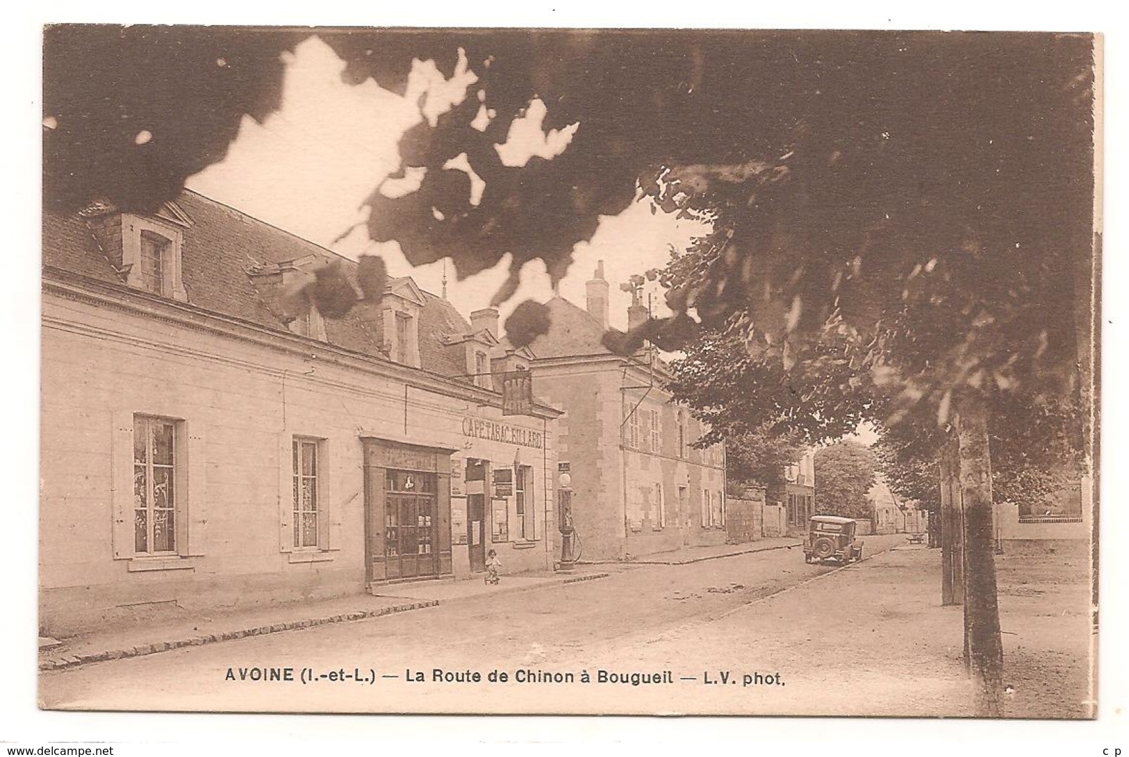 Avoine   - La Route De Chinon A Bourgueil - CPA° - Autres & Non Classés