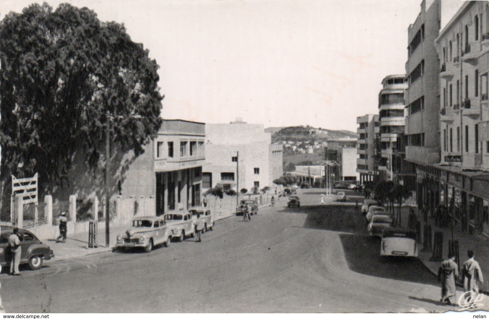 TANGER-BOULEVARD ANTEE VERS LE CHARF- VIAGGIATA-1955 - Tanger