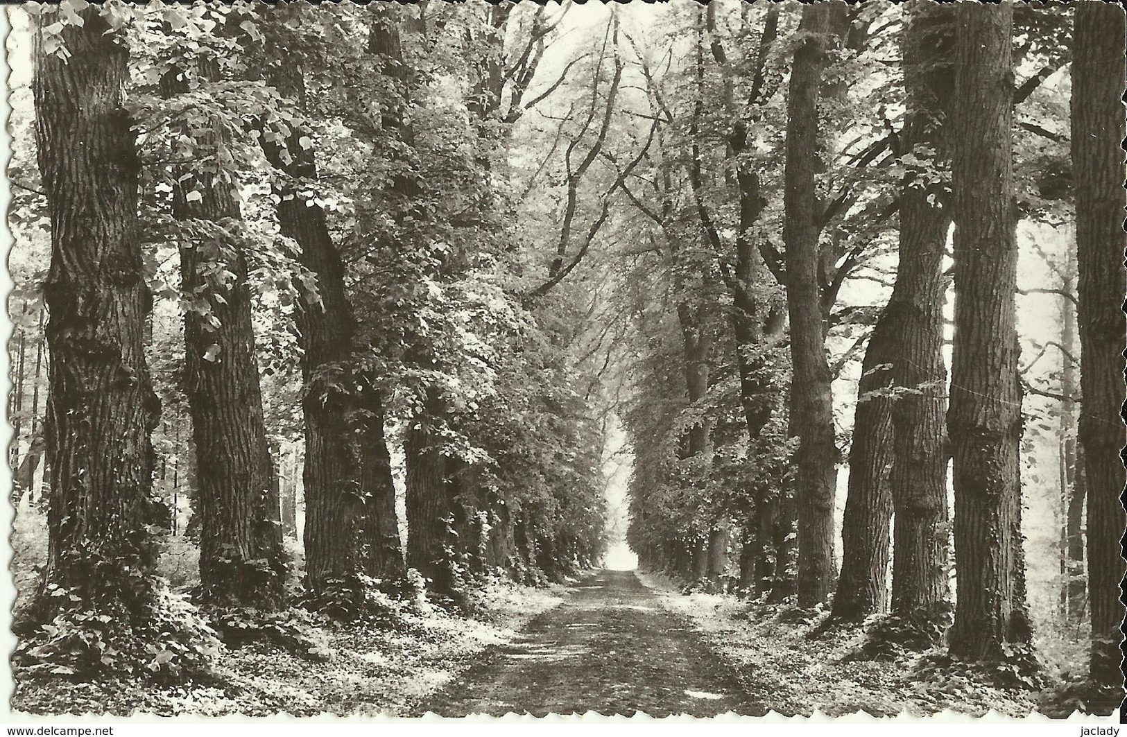 Florée -- Allée Du Château De Oignies (2 Scans) - Assesse