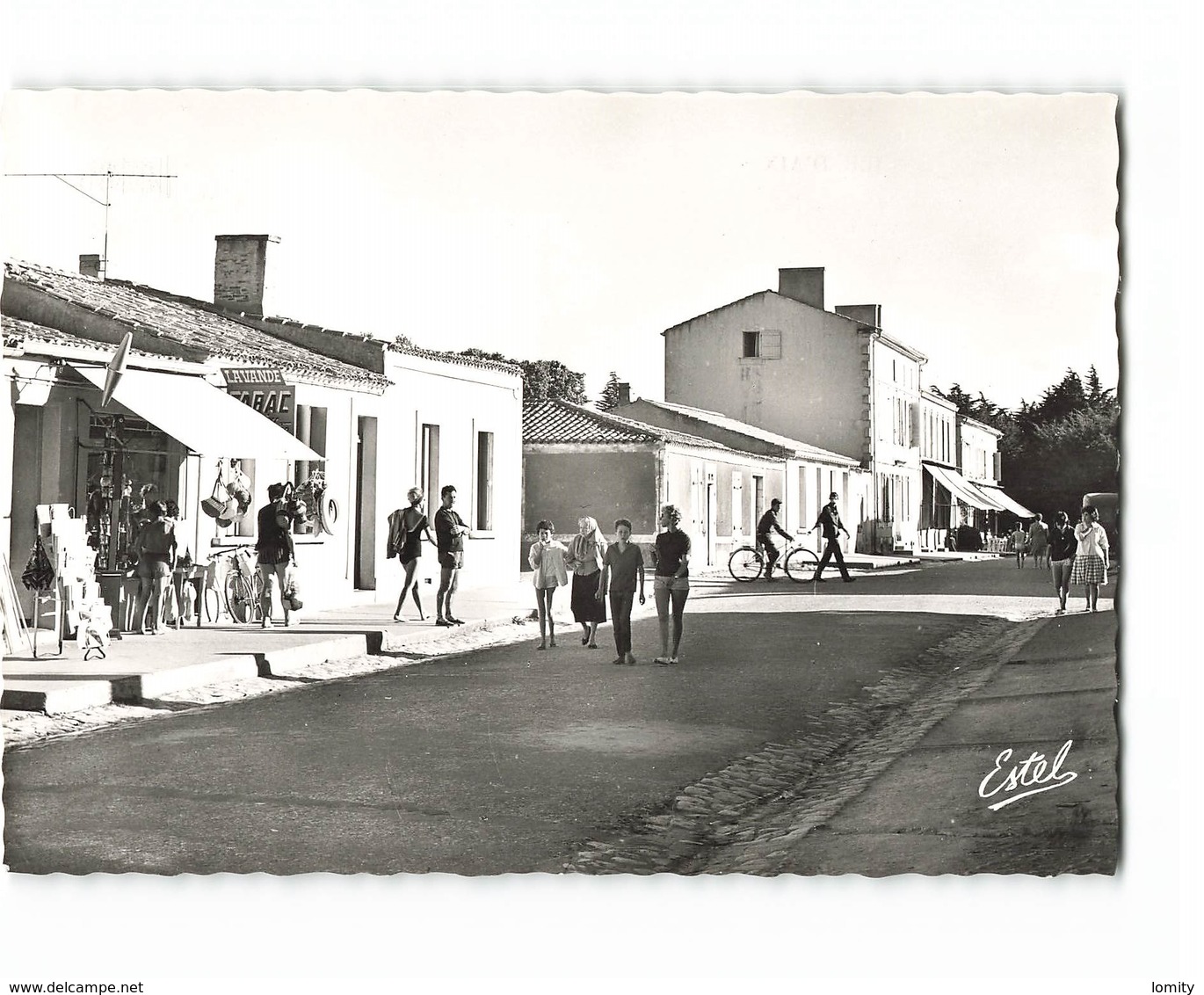 17 Ile D' Aix Une Rue CPSM GF Edit Estel N°245 Photo - Altri & Non Classificati