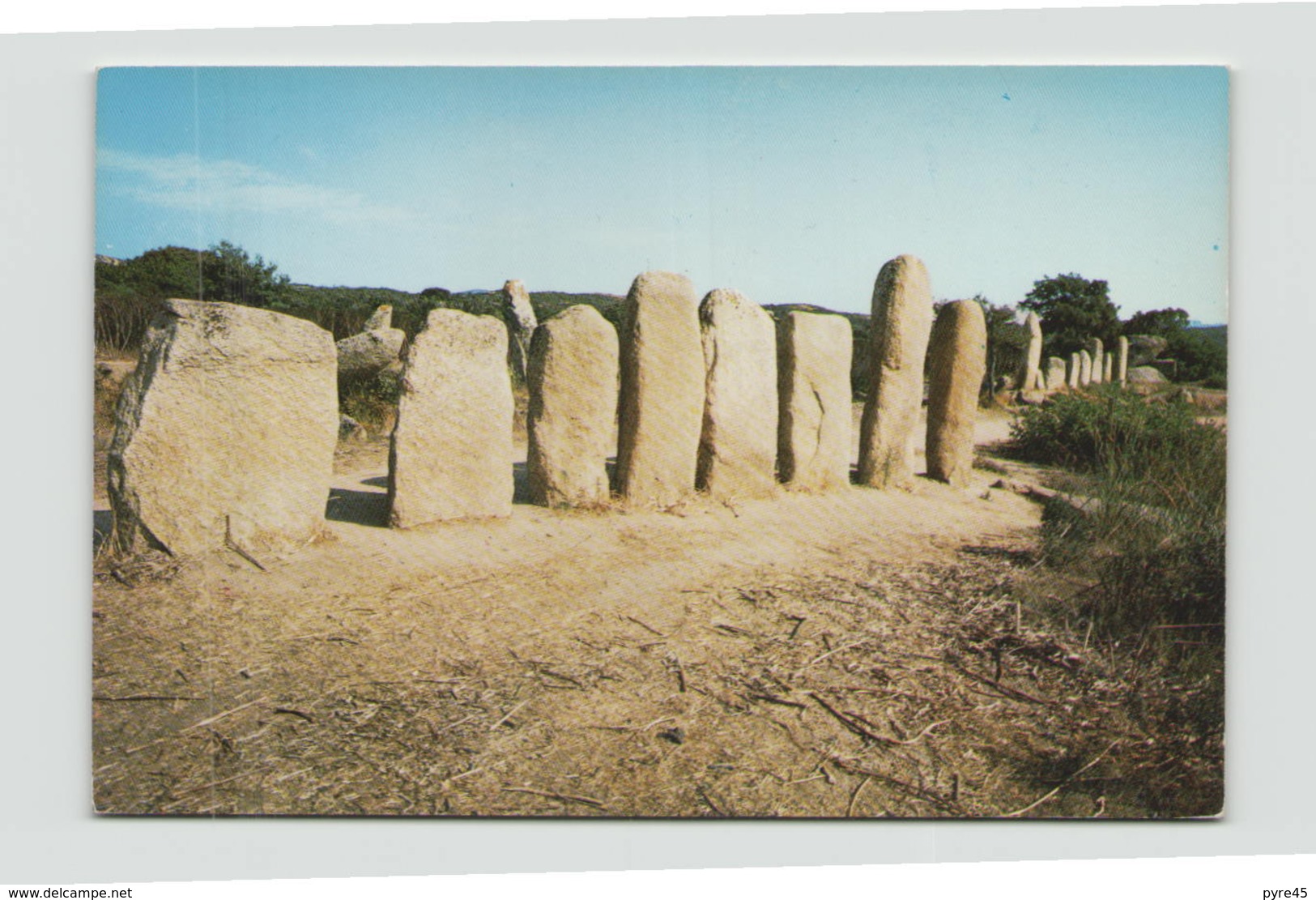 ALIGNEMENT DE PALAGGIU - Dolmen & Menhirs