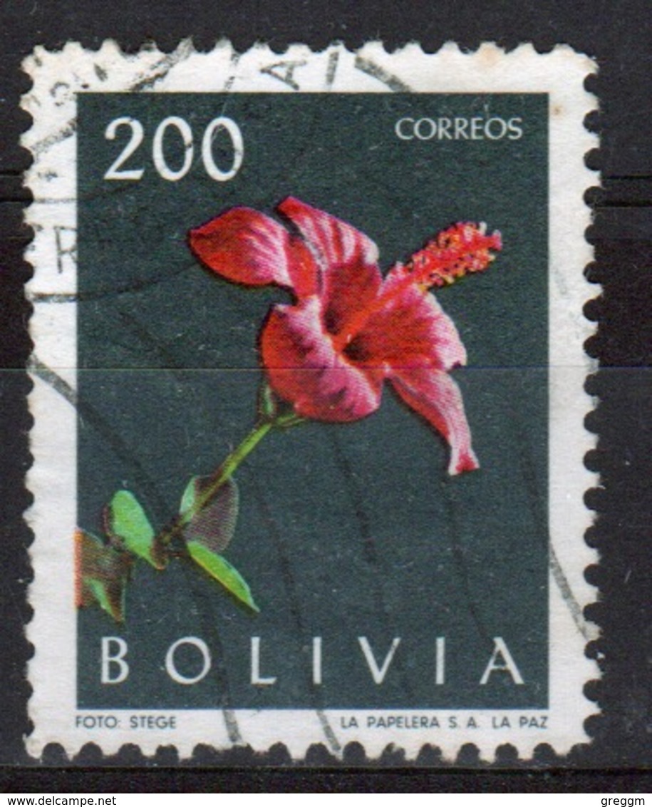 Bolivia 1962 Single 200b Stamp From The Flowers Set. - Bolivia