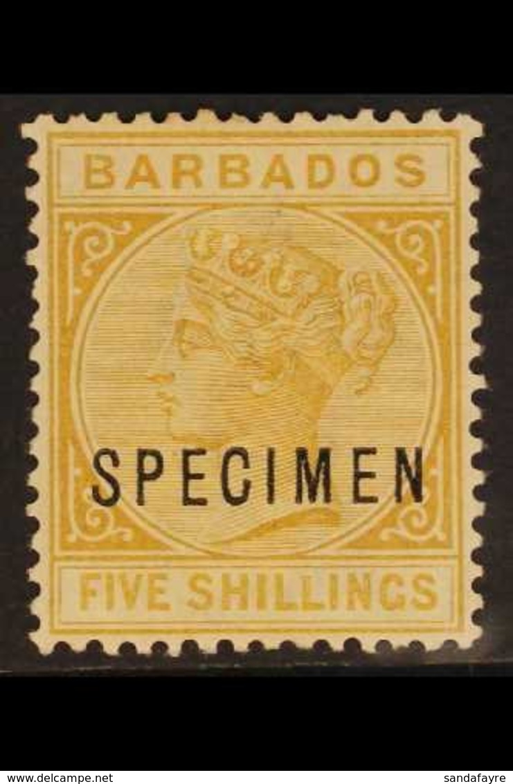 1882-86 5s. Bistre Queen, Overprinted "SPECIMEN", SG 103s, Fine Mint. For More Images, Please Visit Http://www.sandafayr - Barbades (...-1966)