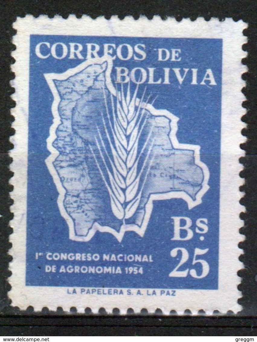 Bolivia 1954 Single 25b Stamp From The Agronomical Congress Set. - Bolivia