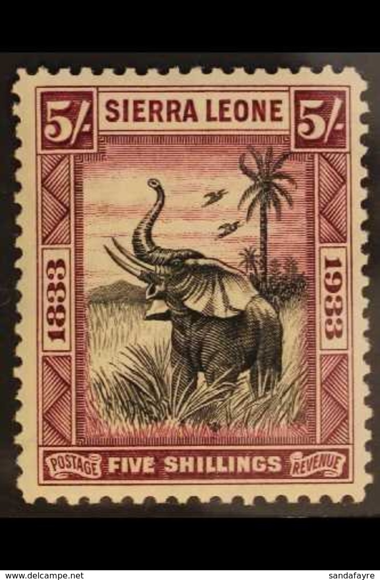 1933 5s Black & Purple Wilberforce - Elephant, SG 178, Very Fine Mint, Fresh. For More Images, Please Visit Http://www.s - Sierra Leona (...-1960)