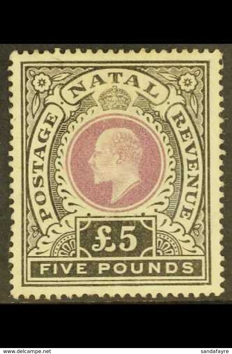 NATAL 1902 £5 Mauve And Black, SG 144, Cleaned And Regummed But Good Appearance. Cat £5500 As Mint, Good Spacefiller. Fo - Unclassified
