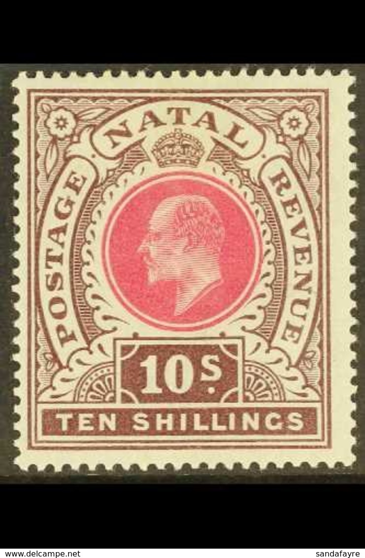 NATAL 1902 10s Deep Rose And Chocolate, Ed VII, SG 141, Very Fine Mint. For More Images, Please Visit Http://www.sandafa - Sin Clasificación