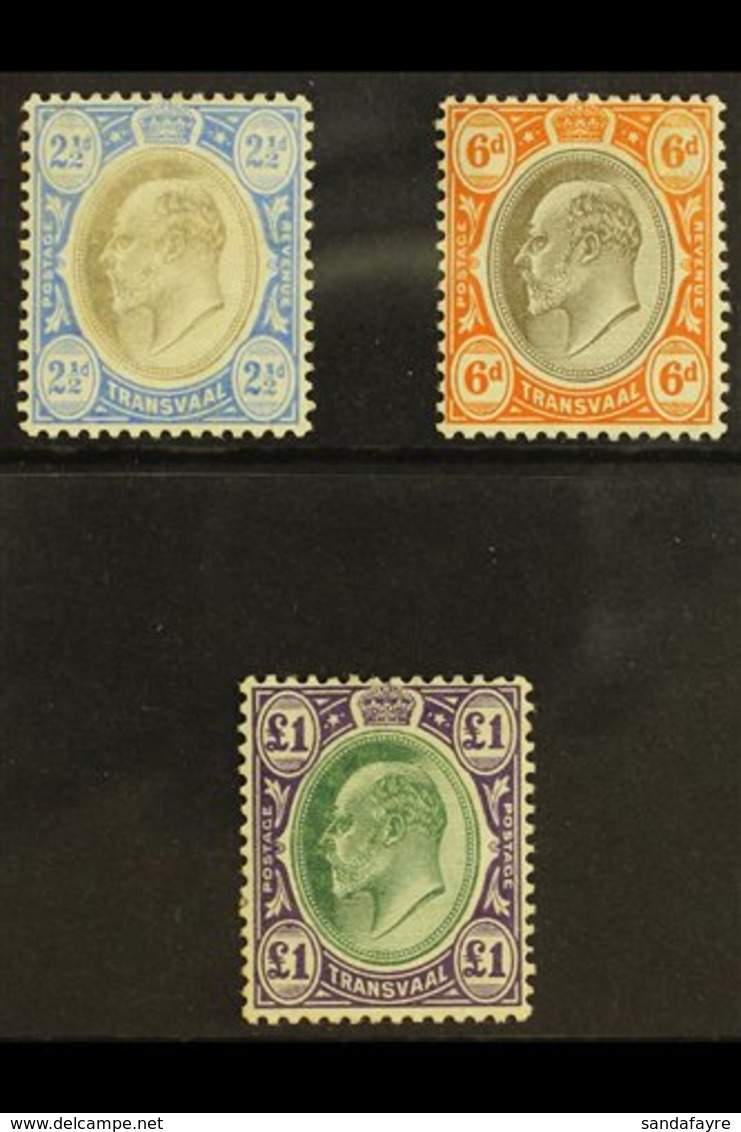 TRANSVAAL 1904 - 09 2½d, 6d And £1 On Chalk Paper, SG 253b, 266a, 272a, All Very Fine And Fresh Mint. (3 Stamps) For Mor - Sin Clasificación