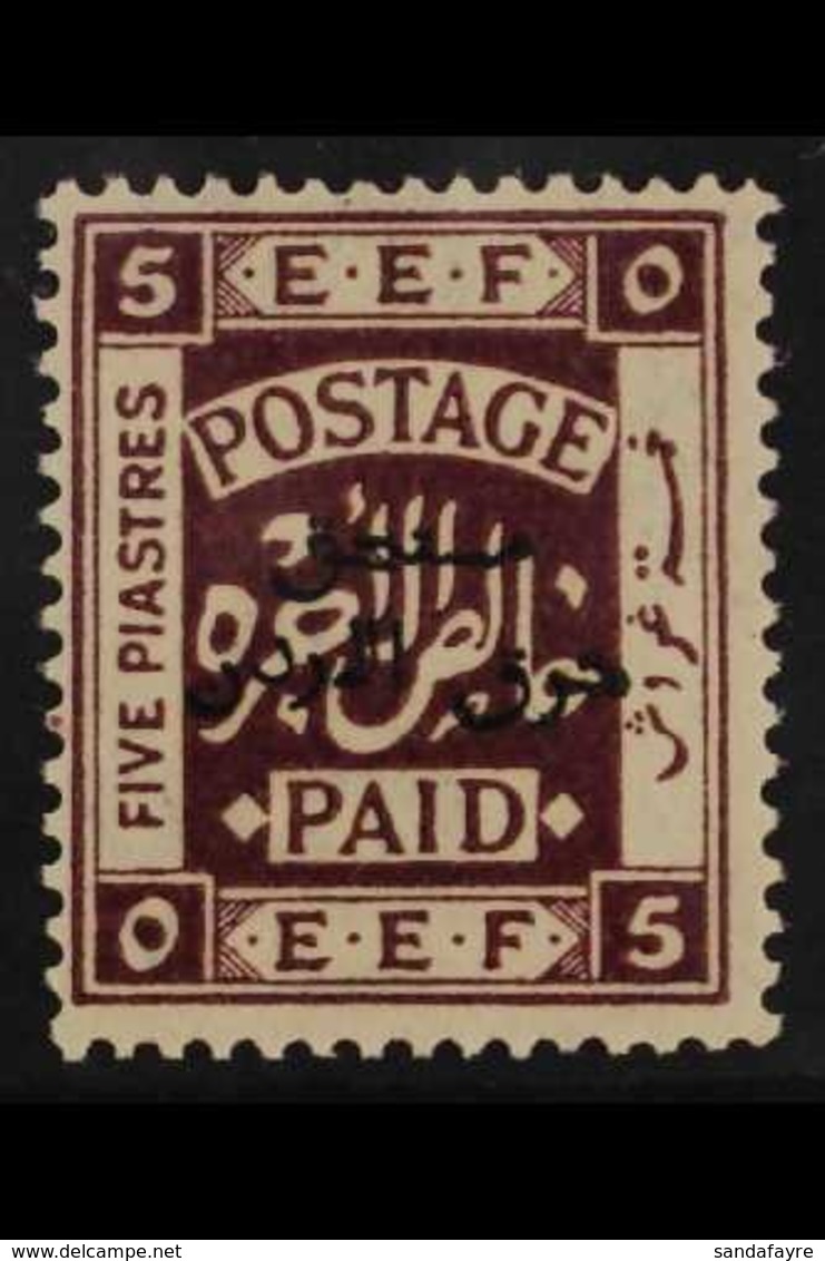 POSTAGE DUE 1925 5 Piastres Deep Purple, Perf 15 X 14, SG D164a, Never Hinged Mint For More Images, Please Visit Http:// - Jordanie