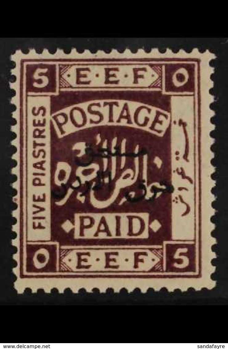 POSTAGE DUE 1925 5 Piastres Deep Purple, Perf 15 X 14, SG D164a, Never Hinged Mint For More Images, Please Visit Http:// - Jordan