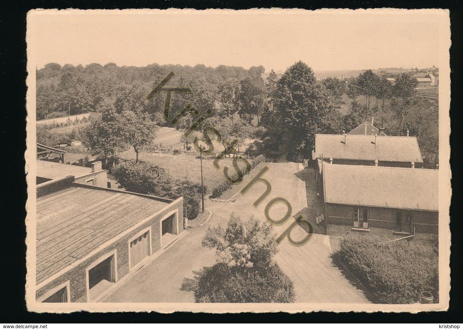 Chimay - Collège Episcopal De St. Joseph - Vue Sur Les Dépendances Et Les Jardins [AA44-4.051 - Autres & Non Classés