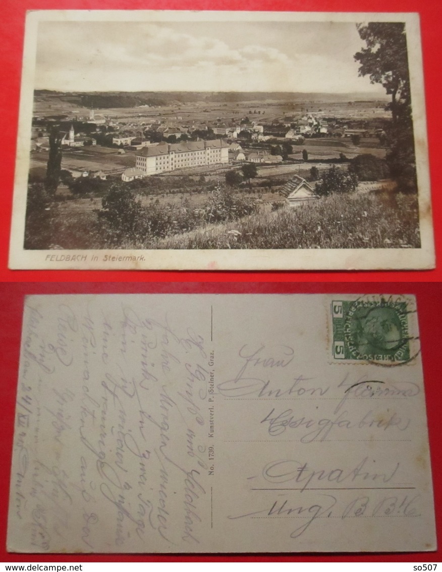 J1-Austria Vintage Postcard -Feldbach In Steiermark, Panoramic View - Feldbach