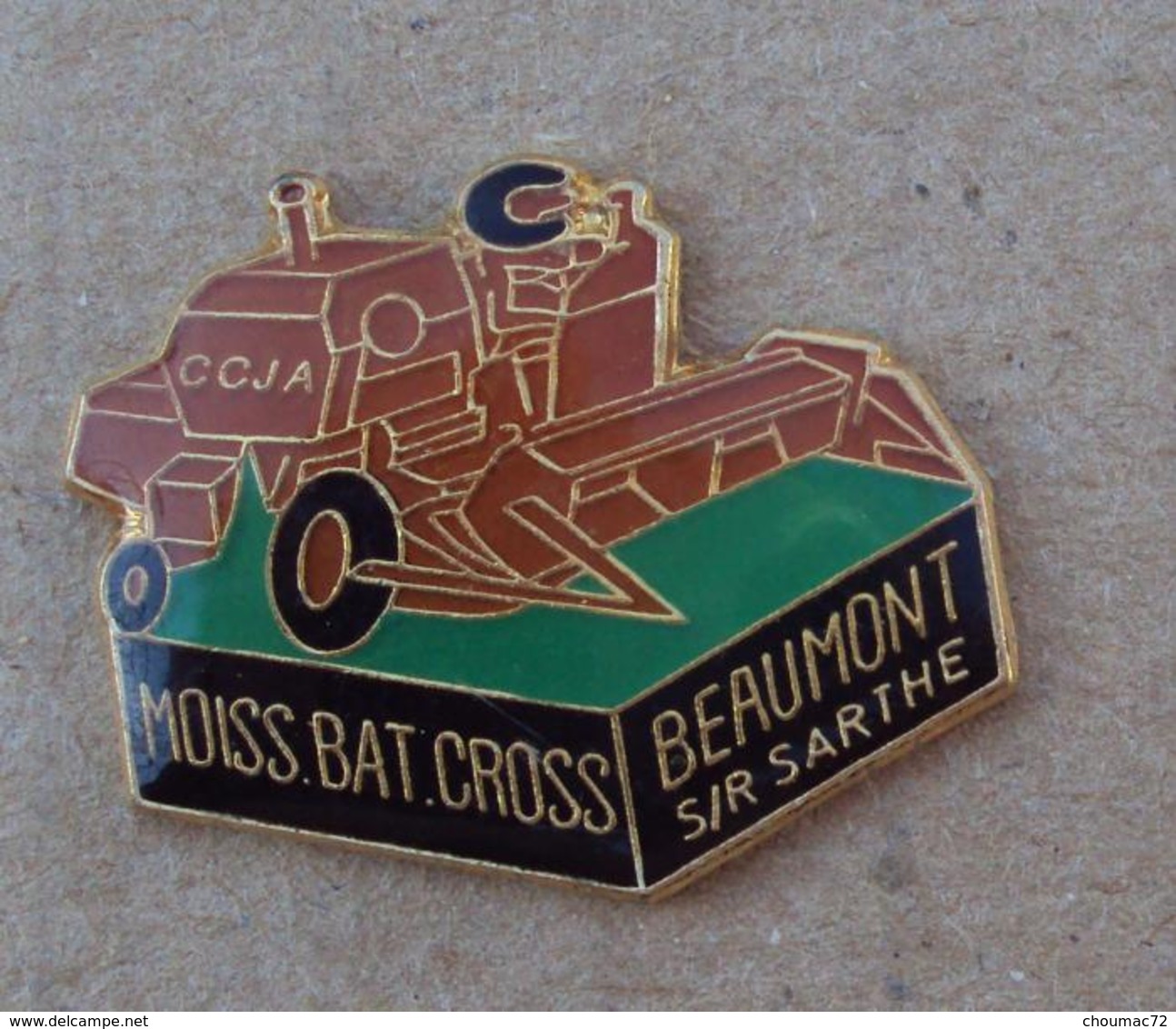 Pin's Villes 006, Ville De Beaumont Sur Sarthe MoissBatCross - Ciudades