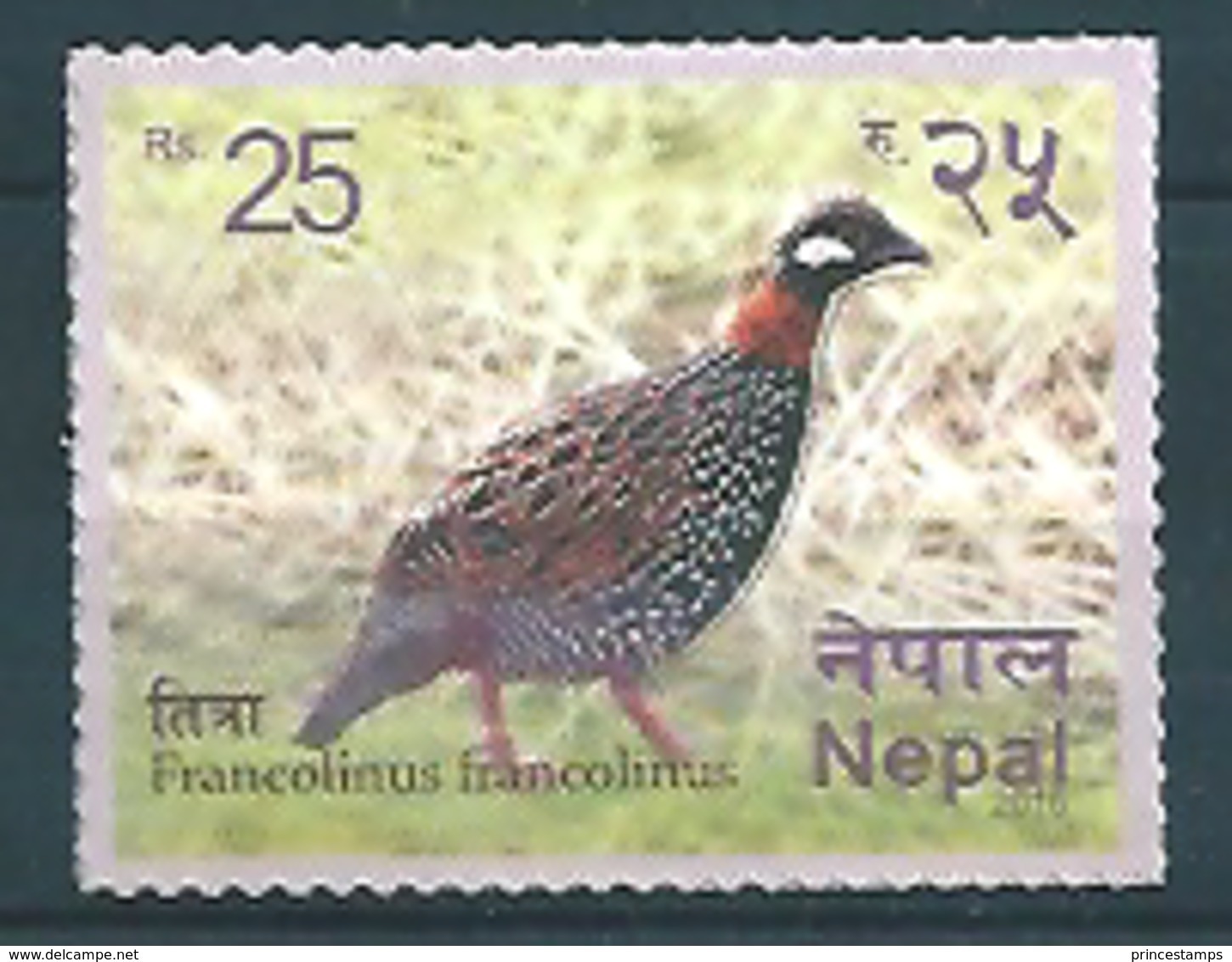 Nepal (2016) - Set -  /  Aves - Birds - Oiseaux - Vogel - Autres & Non Classés