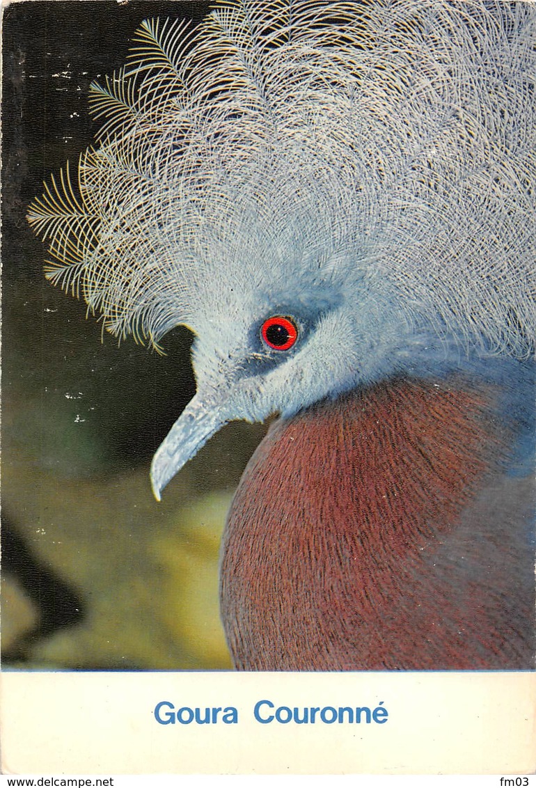 Zoo Parc Oiseaux Oiseau Villars Les Dombes Goura - Oiseaux