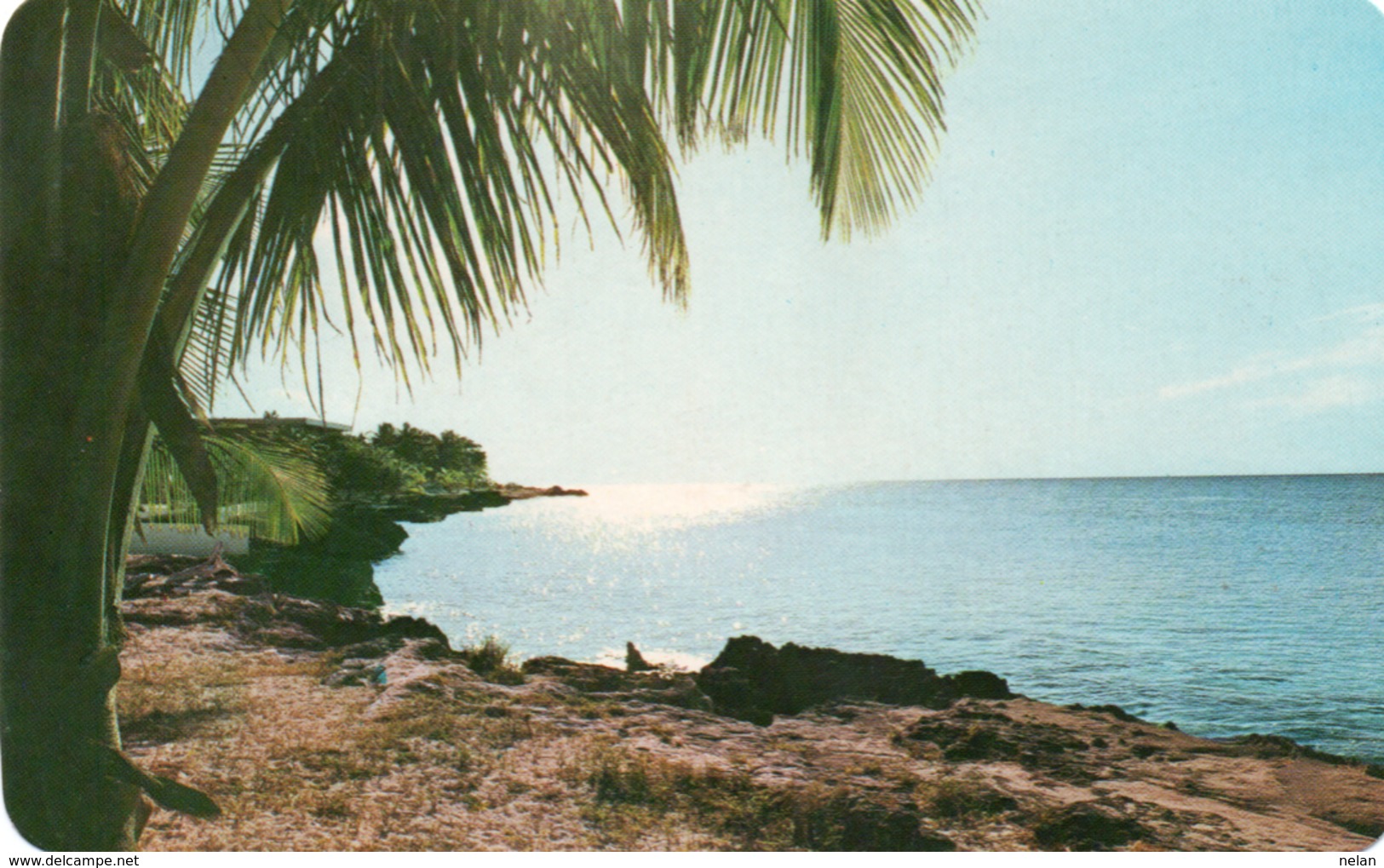 ISLA DE COZUMEL-VIAGGIATA - Messico