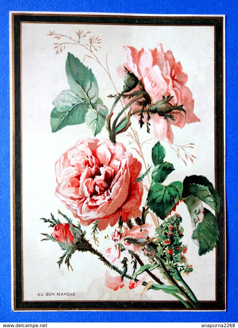 CHROMO AU BON MARCHE.....20 / 15  Cm......LES ROSES ANCIENNES - Au Bon Marché