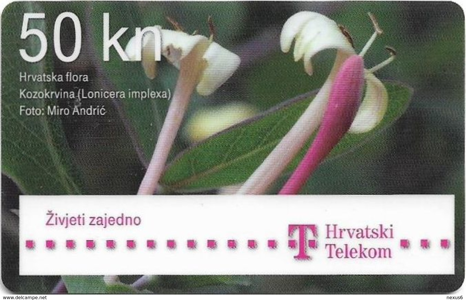 Croatia - Hrvatski Telekom - Hrvatska Flora - Lonicera Implexa Flower - Exp. 12.2013, Used - Croatia