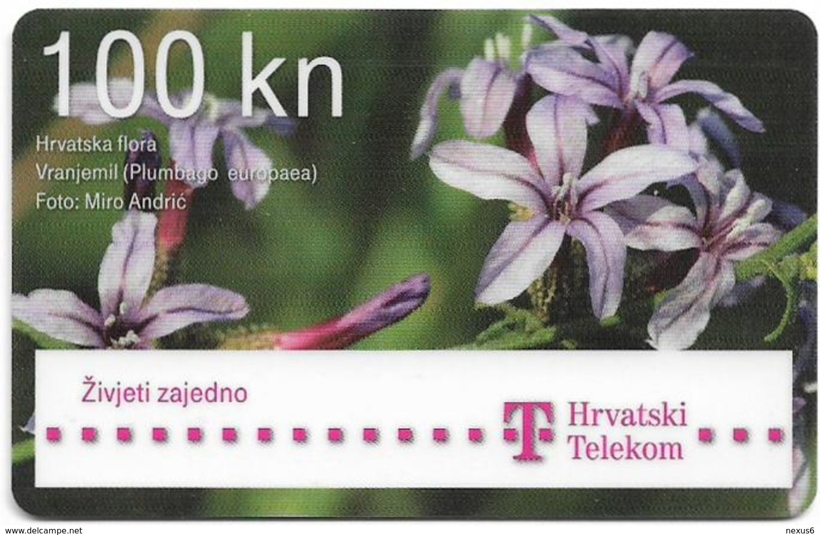 Croatia - Hrvatski Telekom - Hrvatska Flora - Vranjemil Plumbago Flower - Exp. 12.2013, Used - Kroatien