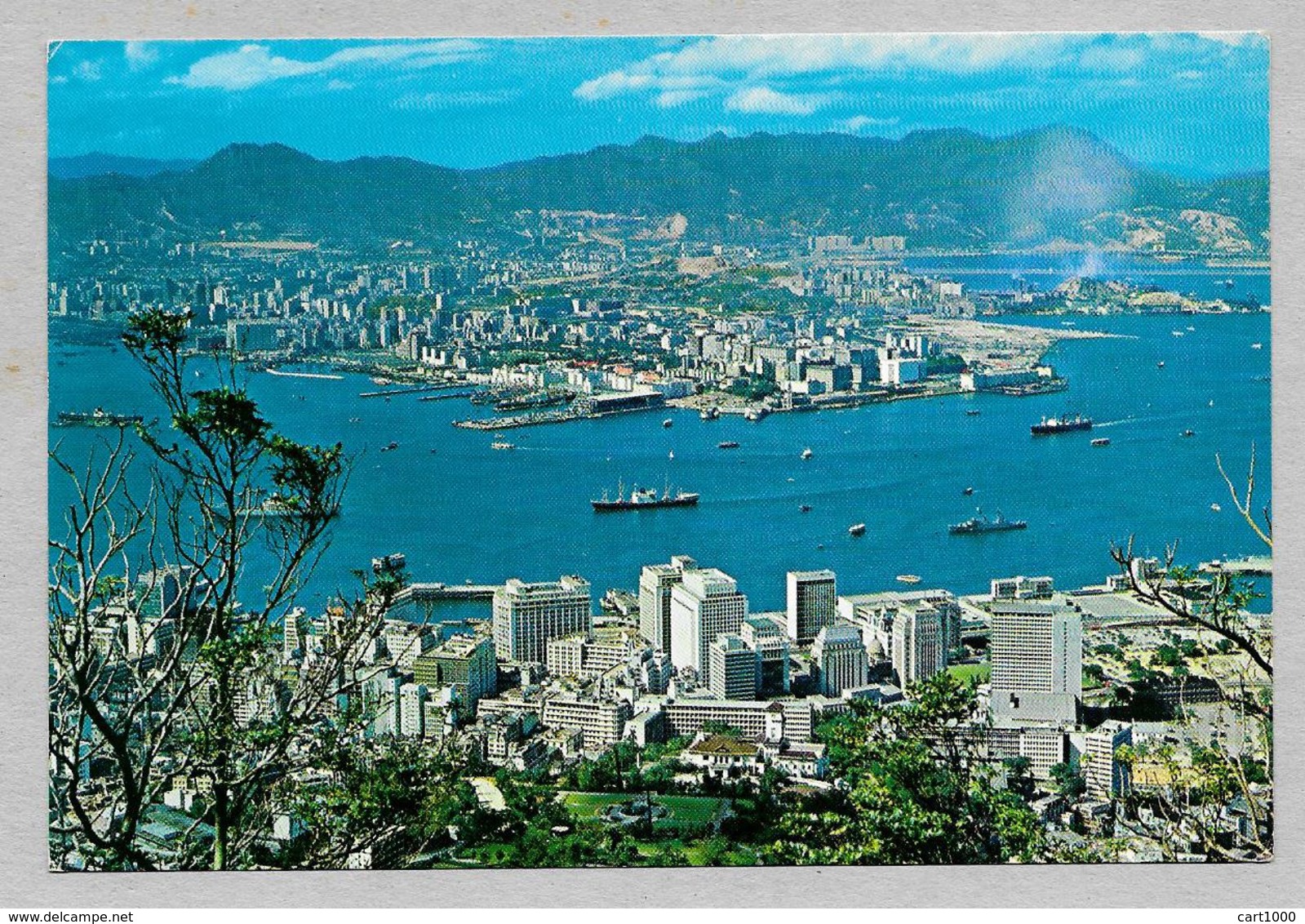 CINA CHINA HONG KONG 1967 - Cina (Hong Kong)