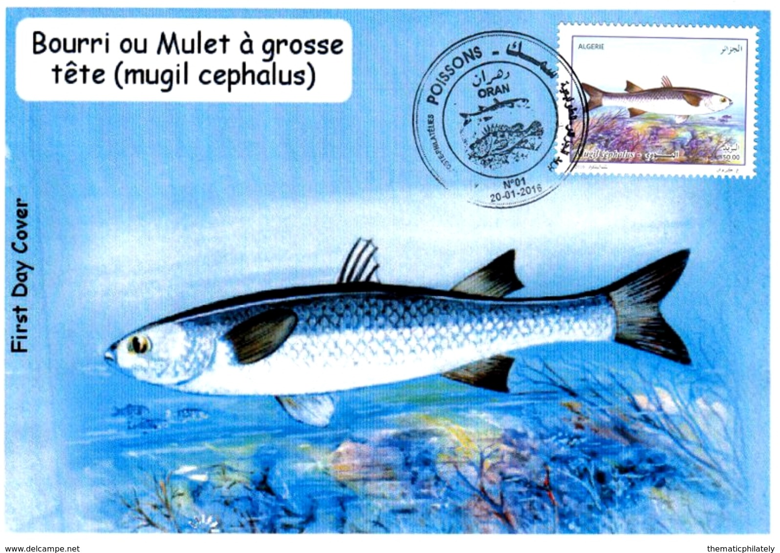 DZ Argelia FDC 1733 Pescado Salmonete Con Cabeza Grande Fauna Marina Pescado Animales - Peces