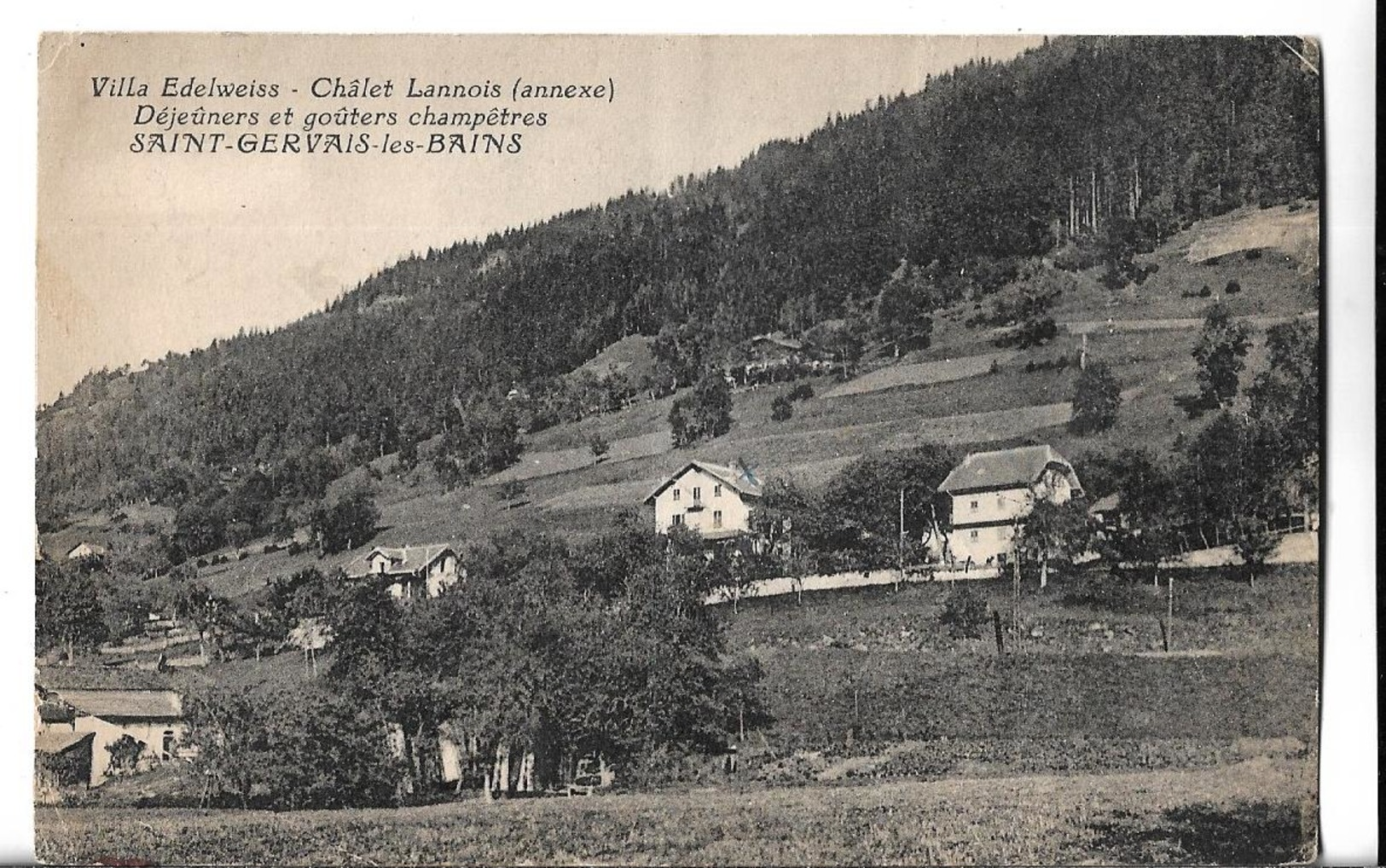 CPA De ST-GERVAIS Les BAINS (74) - Villa Edelweiss - Châlet Lannois (annexe) Déjeuners Et Goûters Champêtres // BE - Saint-Gervais-les-Bains